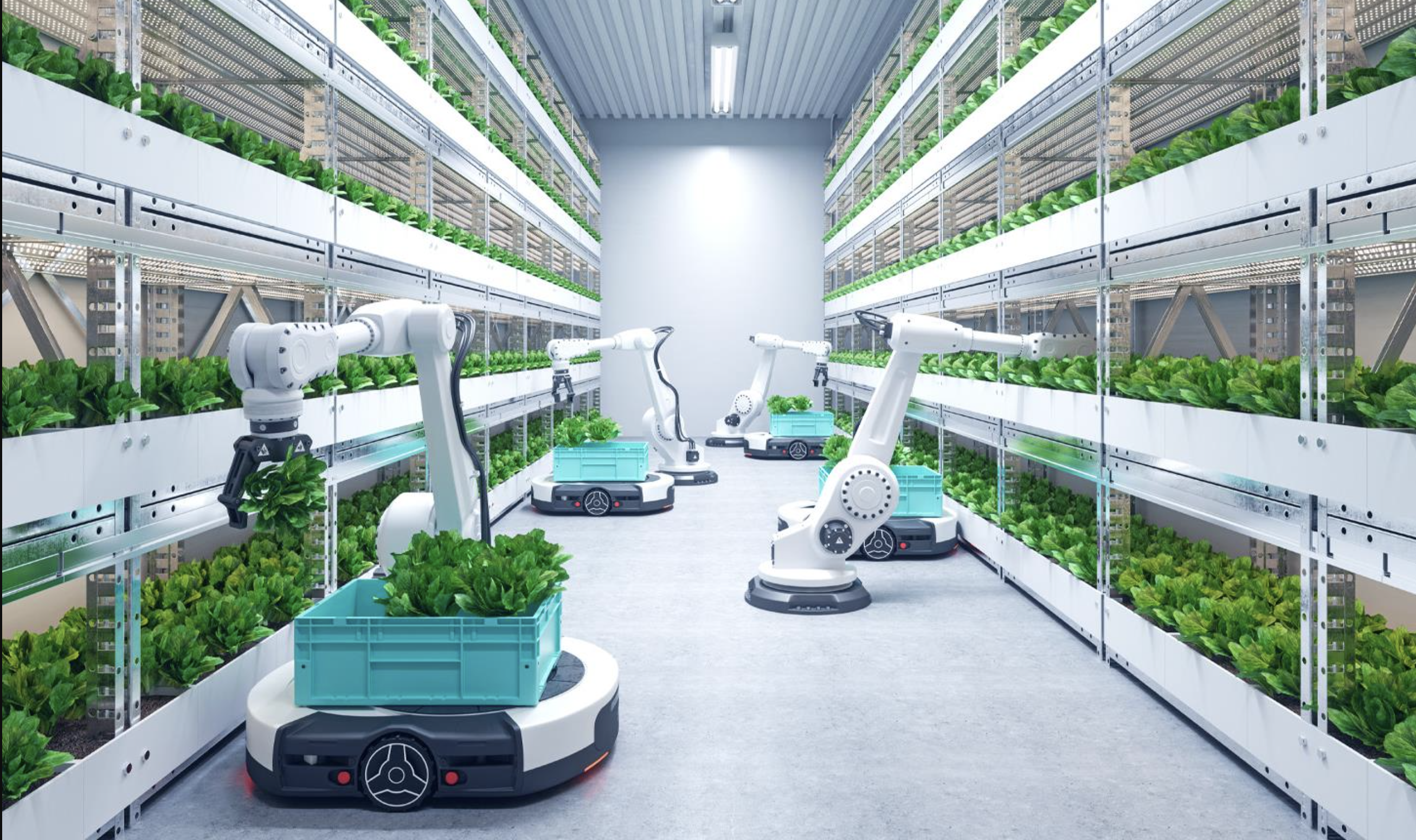 African intellectuals in discussion